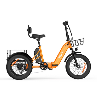 PVY F20 Cargo E-Bike