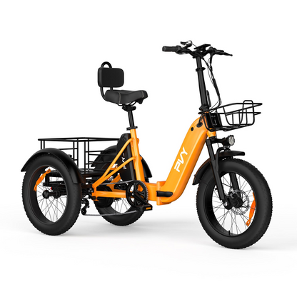 PVY F20 Cargo E-Bike