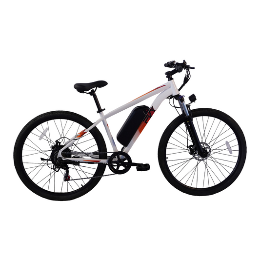 Pre Order - PVY M29 Electric Bicycle