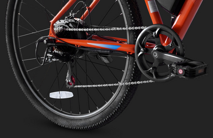 Pre Order - PVY M29 Electric Bicycle