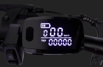 Pre Order - PVY M29 Electric Bicycle