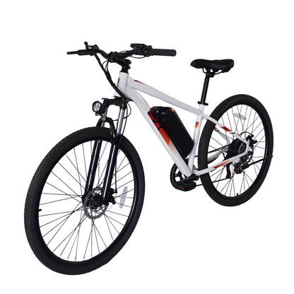 Pre Order - PVY M29 Electric Bicycle