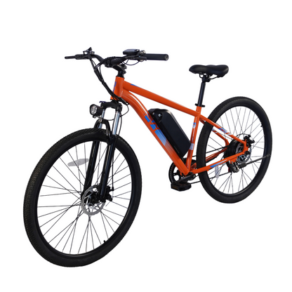 Pre Order - PVY M29 Electric Bicycle