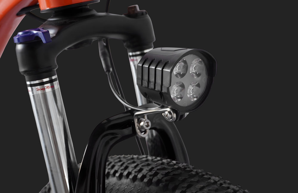 Pre Order - PVY M29 Electric Bicycle