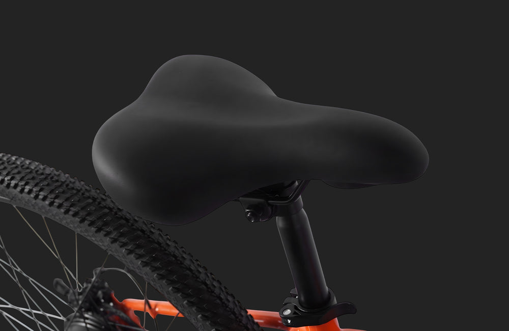 Pre Order - PVY M29 Electric Bicycle