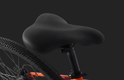 Pre Order - PVY M29 Electric Bicycle