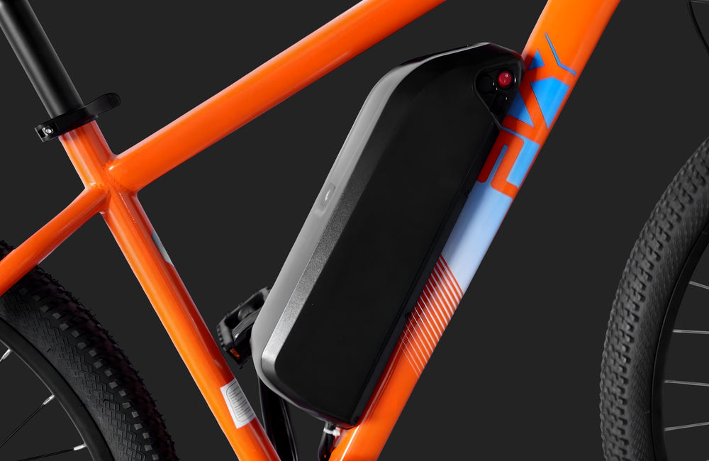 Pre Order - PVY M29 Electric Bicycle