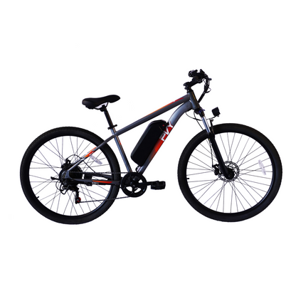 Pre Order - PVY M29 Electric Bicycle