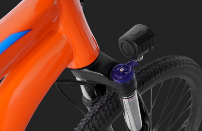 Pre Order - PVY M29 Electric Bicycle