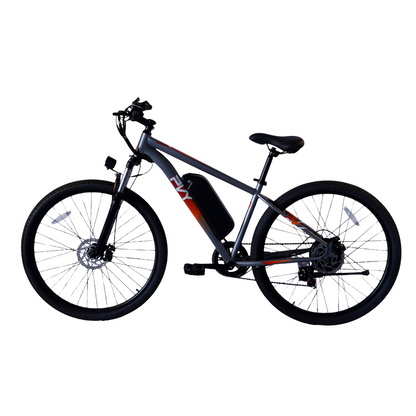 Pre Order - PVY M29 Electric Bicycle