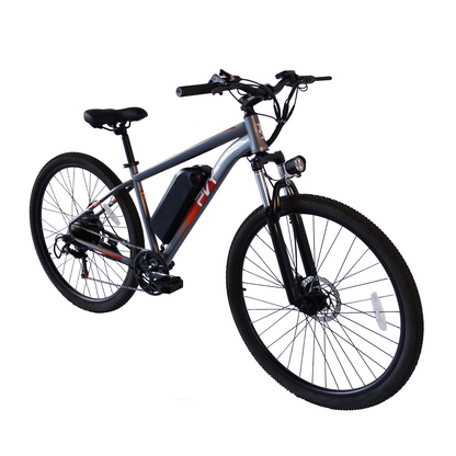 Pre Order - PVY M29 Electric Bicycle