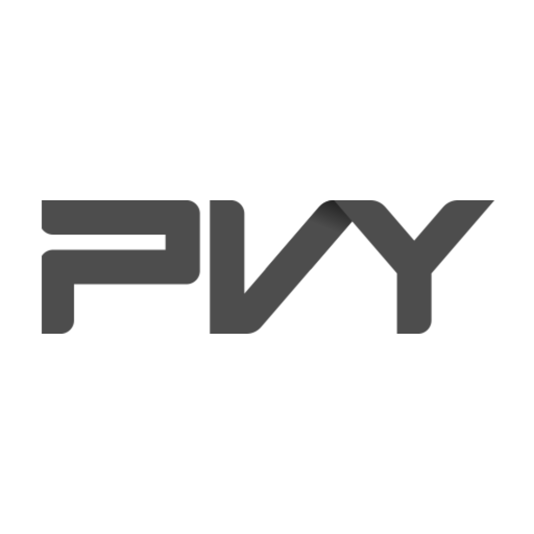 PVY Electric Bikes