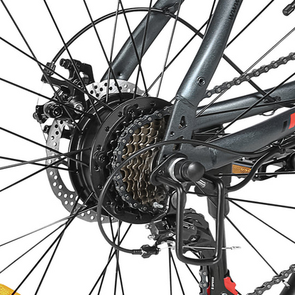 RS-A01 MEN Urban Electric Bicycle