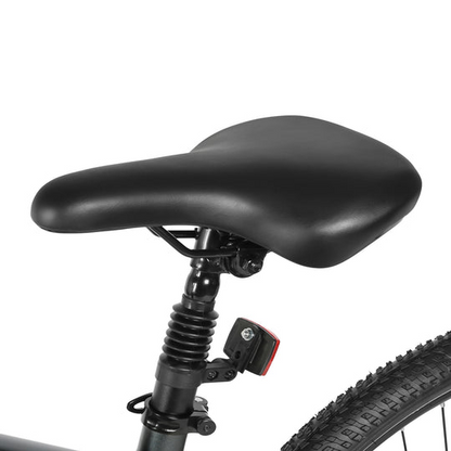 RS-A01 MEN Urban Electric Bicycle