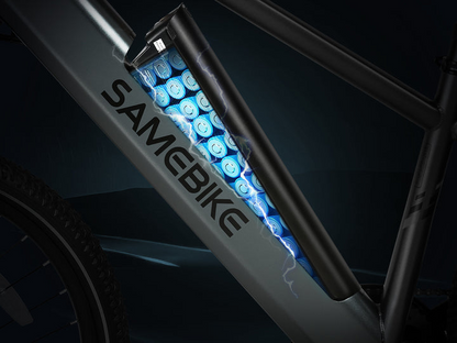 RS-A01 MEN Urban Electric Bicycle