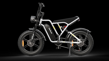 VARUN X-PLORER Electric Moped