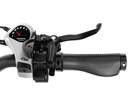 Vitilan U9 Electric Bike