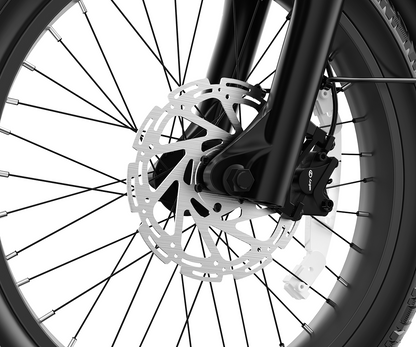 Vitilan U9 Electric Bike