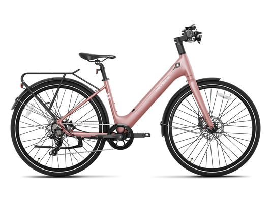 Heybike EC 1-ST Step-Thru E-Bike image 0