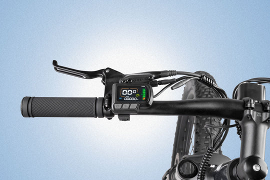 Cyrusher Flex Electric Mountain Bike