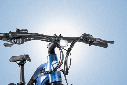 Cyrusher Flex Electric Mountain Bike
