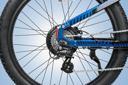 Cyrusher Flex Electric Mountain Bike