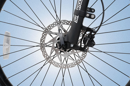 Cyrusher Flex Electric Mountain Bike