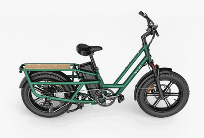 Fiido T2 Longtail Cargo E-bike image 8