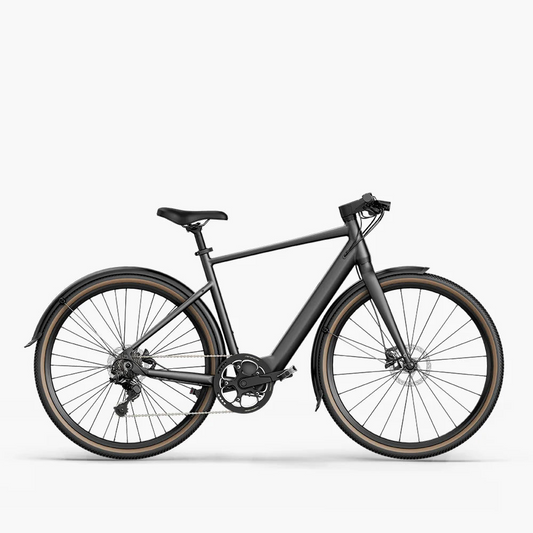 Fiido E-Gravel C21-Step Over Electric Bike image 0