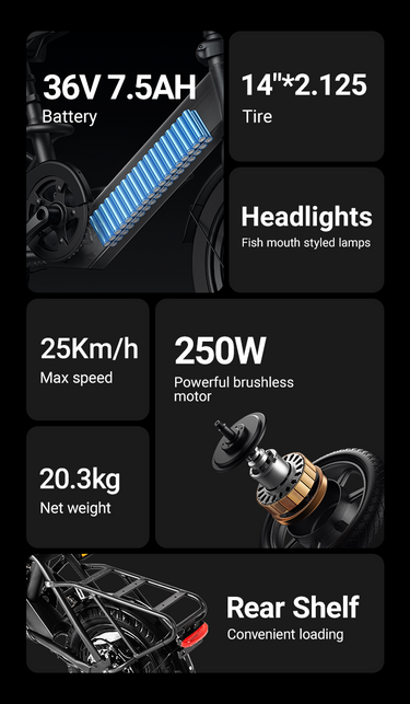 DYU C3 14 Inch Folding Ebike image 1